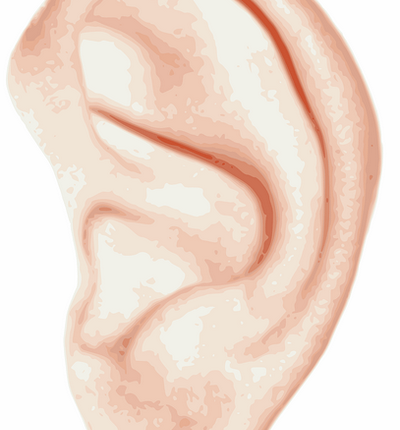 Auriculoterapia gr