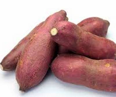 BATATA DOCEgr