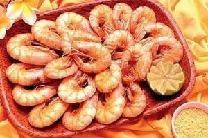 camarao gr