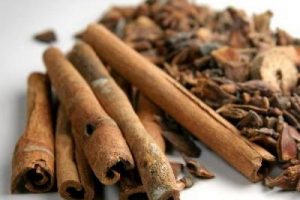 canela gr