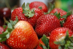 morangos GR morangos GR