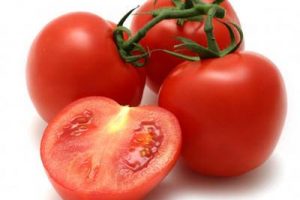 tomate gr