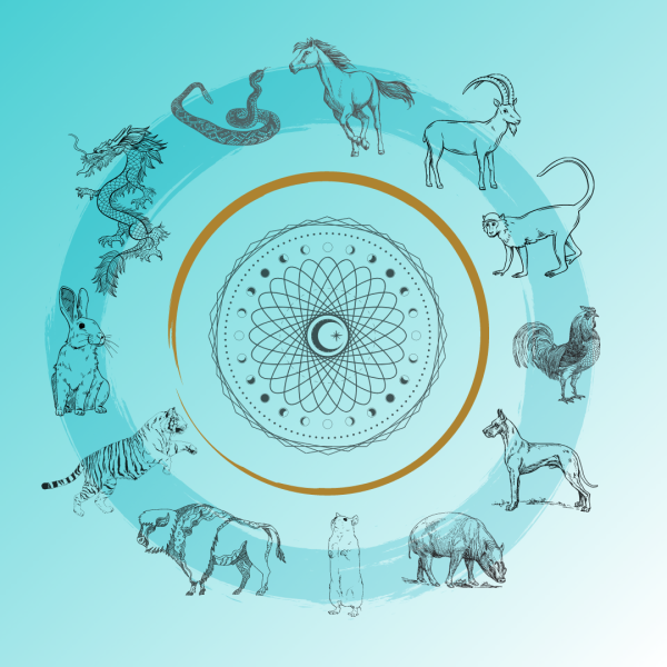 Curso Astrologia Chinesa Bazi