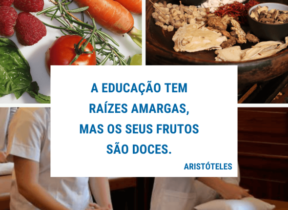 frase aristoteles educação