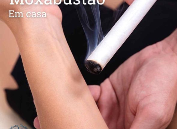 Moxa em casa peq