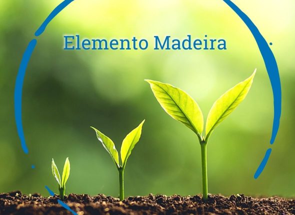Movimento Madeira