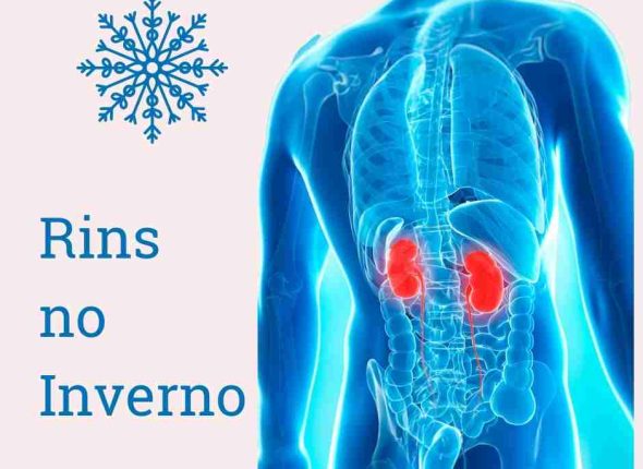 rins e o inverno