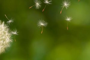 Imagens Site (900 × 300 px) (1) Imagens Site (900 × 300 px) (1)