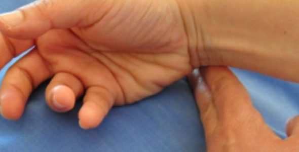 Imagens Site (900 × 300 px) (900 x 300 px)